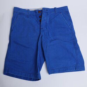 Hollister Co. Royal Blue Shorts